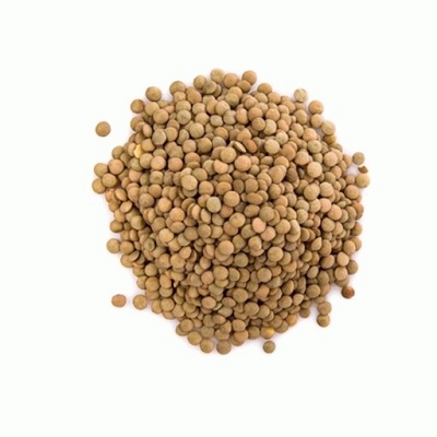 عدس ریز روس